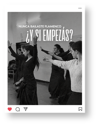 Instituto Bestia Flamenco: publicación 3