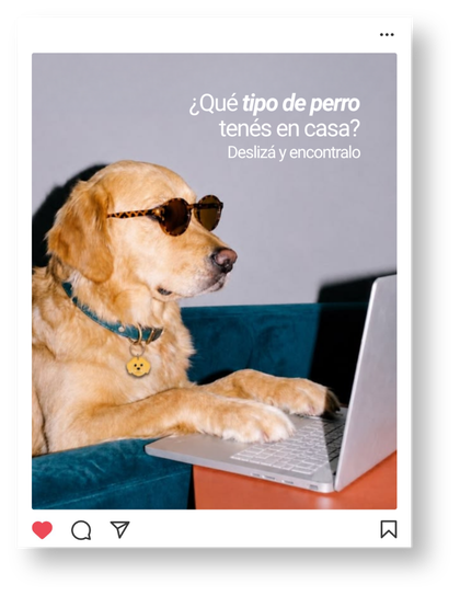 Provy Seguros: publicación 2